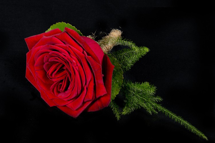 Hubert Hudson armoede Westers Red Roses / Corsage